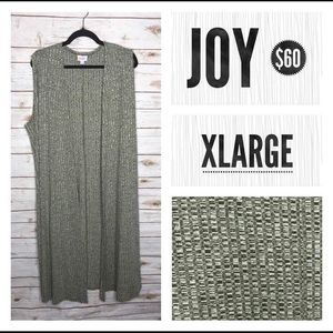 BNWT LuLaRoe Joy - GREY!